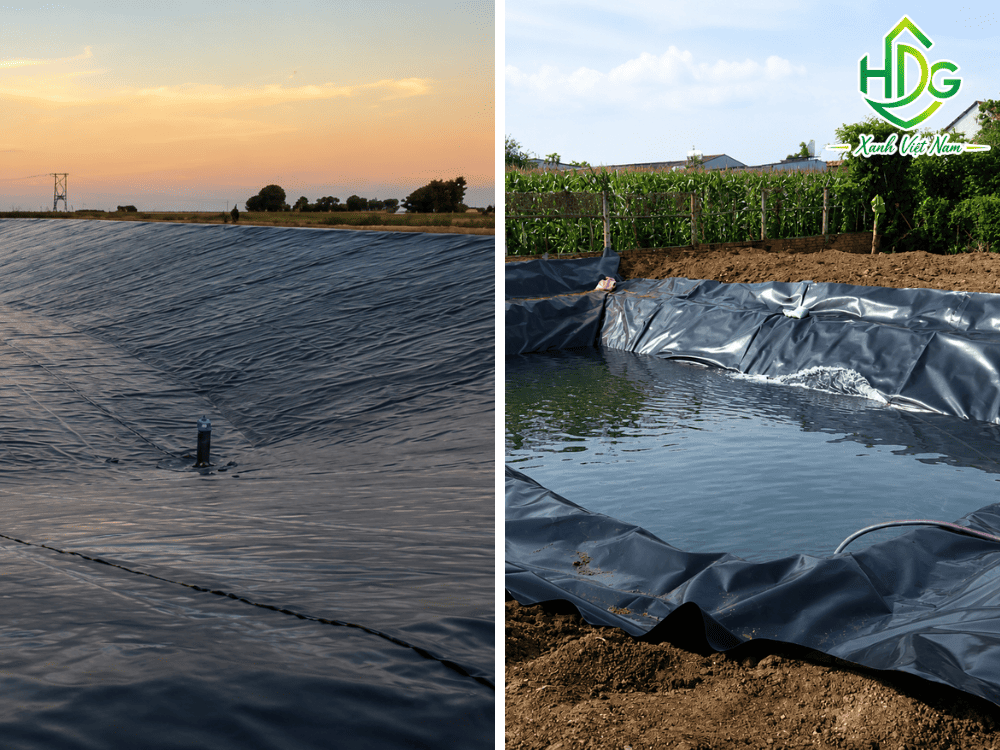 Bạt HDPE có thể sử dụng để lót đáy và thành hồ nuôi cá