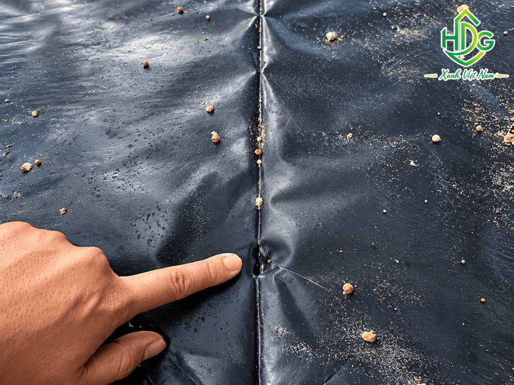 Bạt HDPE