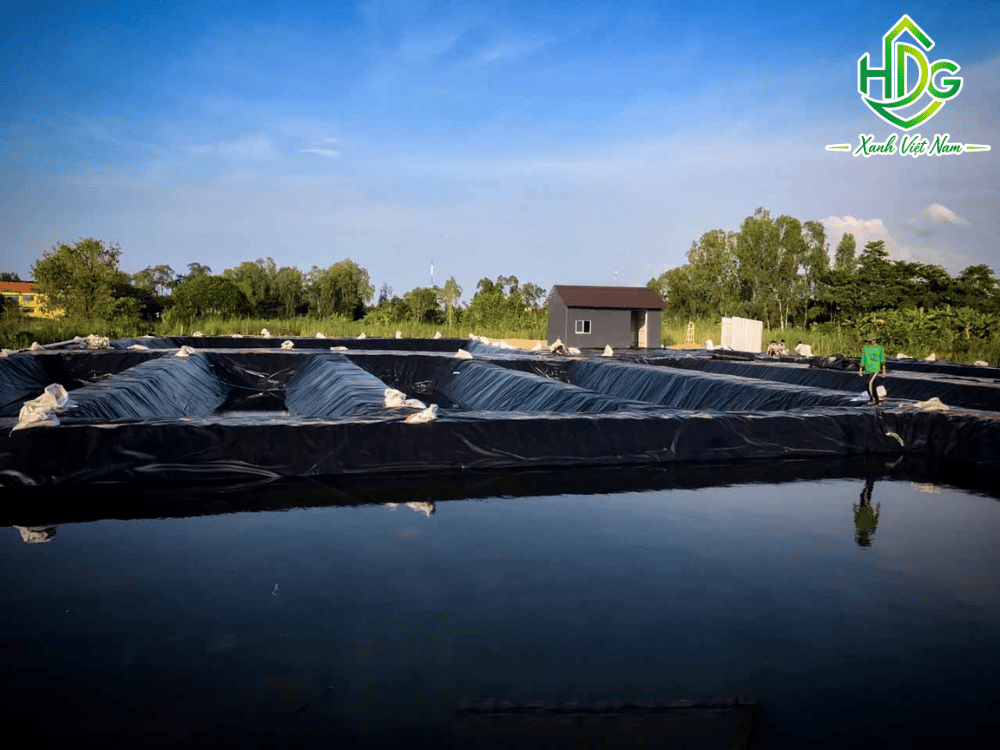 Mô hình hầm Biogas trang trại sử dụng bạt HDPE 1.5mm làm màng phủ nổi thu gom khí gas.