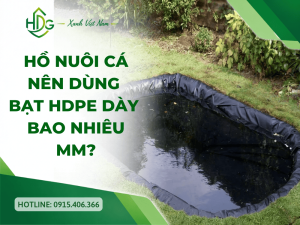Hồ nuôi cá nên dùng bạt HDPE dày bao nhiêu mm
