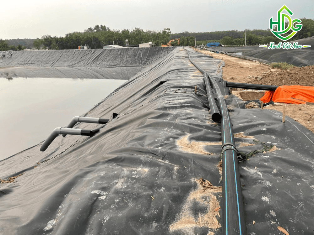 Bạt chống thấm HDPE nguyên sinh chất lượng cao do HDG - Xanh Việt Nam cung cấp cho các công trình môi trường và thủy sản