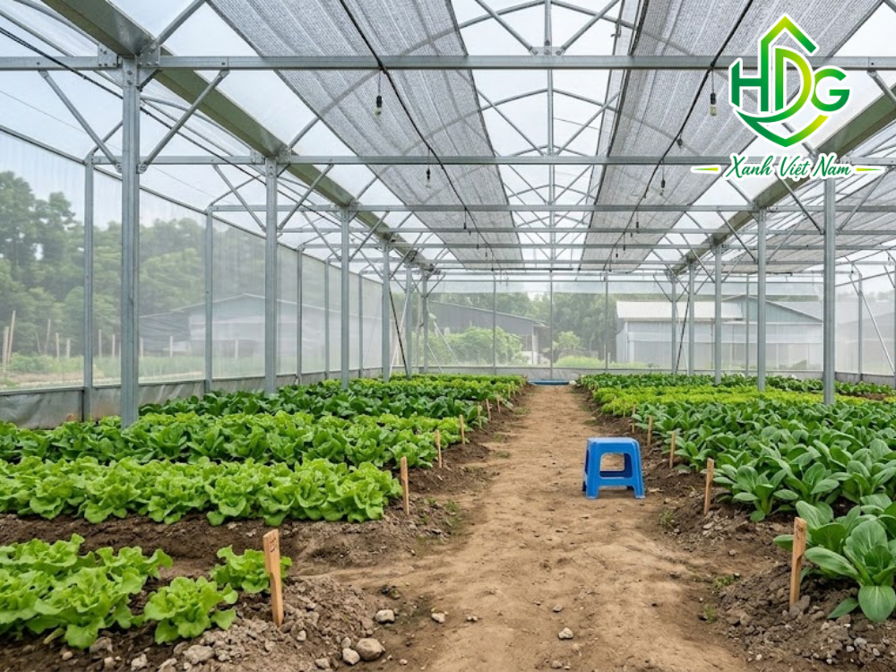 Lưu ý khi dùng thanh nẹp ziczac nhà kính