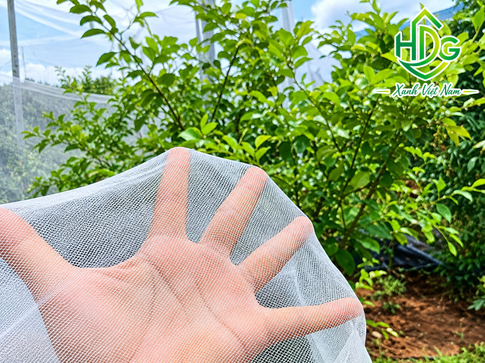 Người dùng có thể chọn lưới trùm cây ăn quả theo mật độ mắt lưới