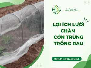 Lợi ích lưới chắn côn trùng trồng rau