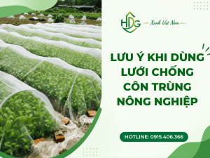 lưu ý khi dùng lưới chống côn trùng nông nghiệp