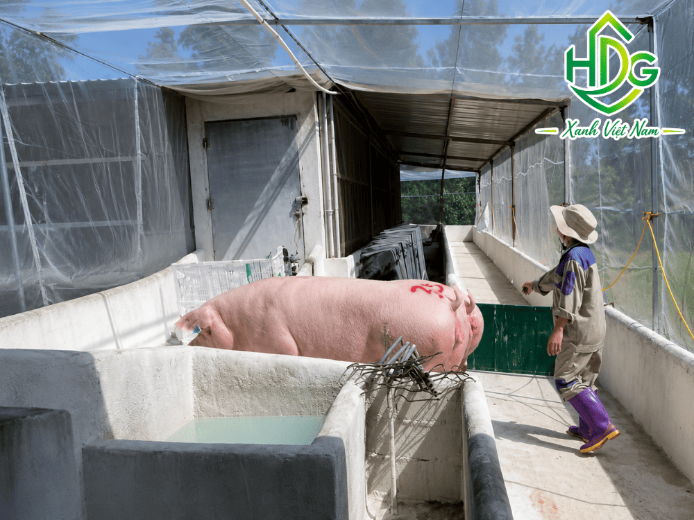 Lưới chống muỗi cho chuồng trại được ứng dụng phổ biến