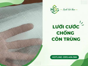 Lợi ích lưới chắn côn trùng trồng rau