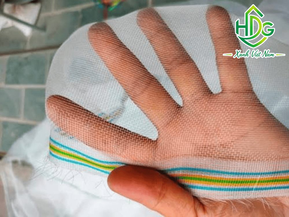 Cập nhật ứng dụng lưới cước chống côn trùng trong thực tế
