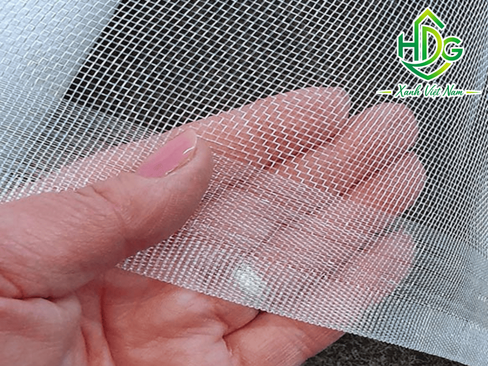 HDG - Xanh Việt Nam cung cấp giải pháp lưới chống côn trùng phù hợp cho bạn