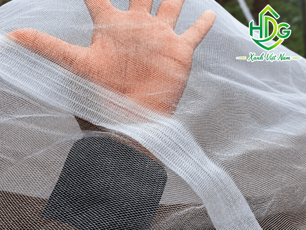 Thi công lưới chống côn trùng ngày càng phổ biến hiện nay