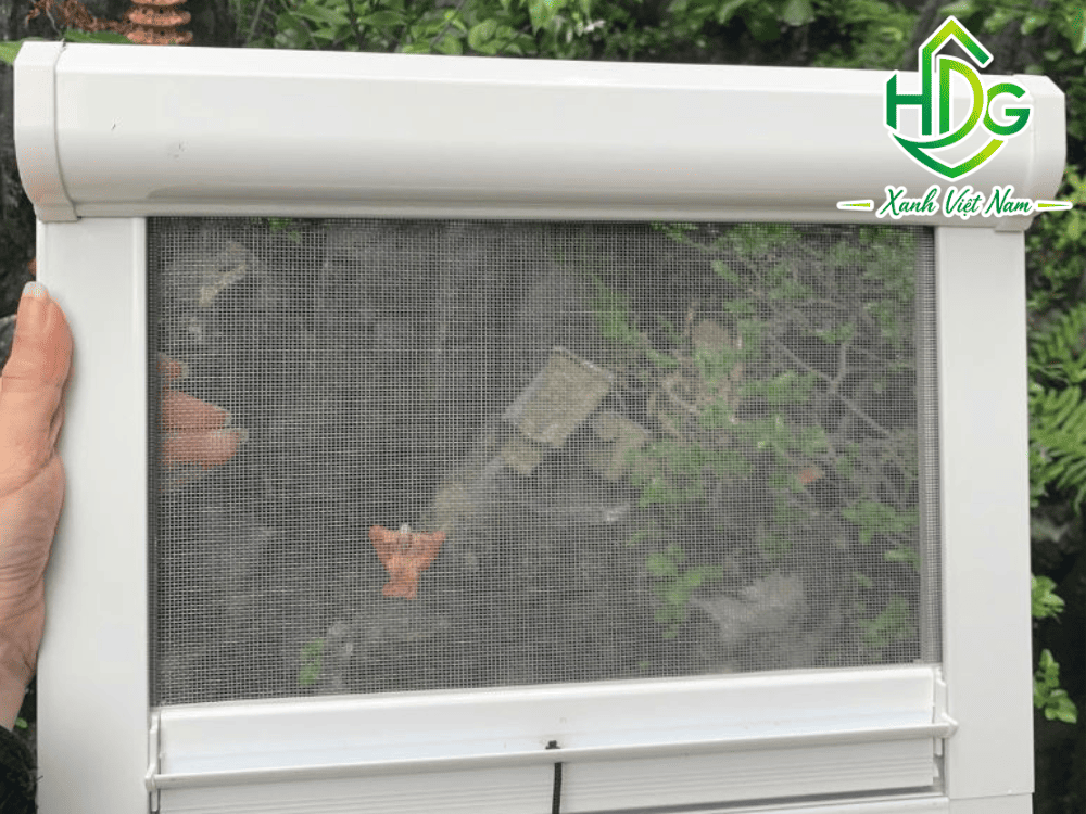 Khu vực cửa sổ, cửa thông gió và khu vực sinh hoạt nên thi công lưới chống côn trùng